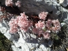 Monte Sibilla,monti Sibillini,escursione,hiking,trekking,umbria,marche