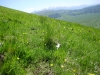 escursione Sibillini monte patino castelluccio norcia, Trekking, outdoor