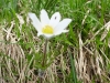 escursione Sibillini monte patino castelluccio norcia, Trekking, outdoor