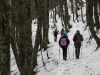 bosco-pescia-umbria-lazio