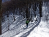 ciaspolata-bosco-sibillini