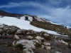 sibillini-neve-escursione-ciaspolata
