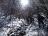img_20160124_115830