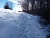 img_20160124_140904