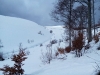 img_20150222_145635