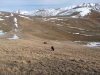 escursione sui sibillini tra il Pian Grande e Castelluccio