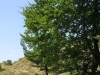 Escursione Monti della Laga Selva Grande