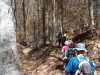 Escursioni-Monti-Laga-Selva-Grande-cascata-Barche-Scalette