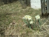 img-20170327-wa0001