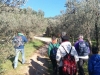 trekking-escursione-poreta-trevi-3-copia