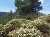 Trekking isola d'Elba