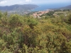 Trekking isola d'Elba