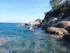 spiaggia-cotoncello-elba-1