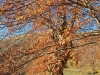 Escursione,trekking,sibillini,marche,Val di Panico,Fargno,Monte Rotondo