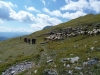 escursione Vettore Sibillini Umbria Marche 