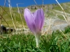 escursione Vettore Sibillini Umbria Marche 