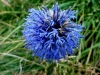 escursione Vettore Sibillini Umbria Marche 