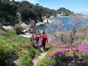 escursione isolta d'elba trekking