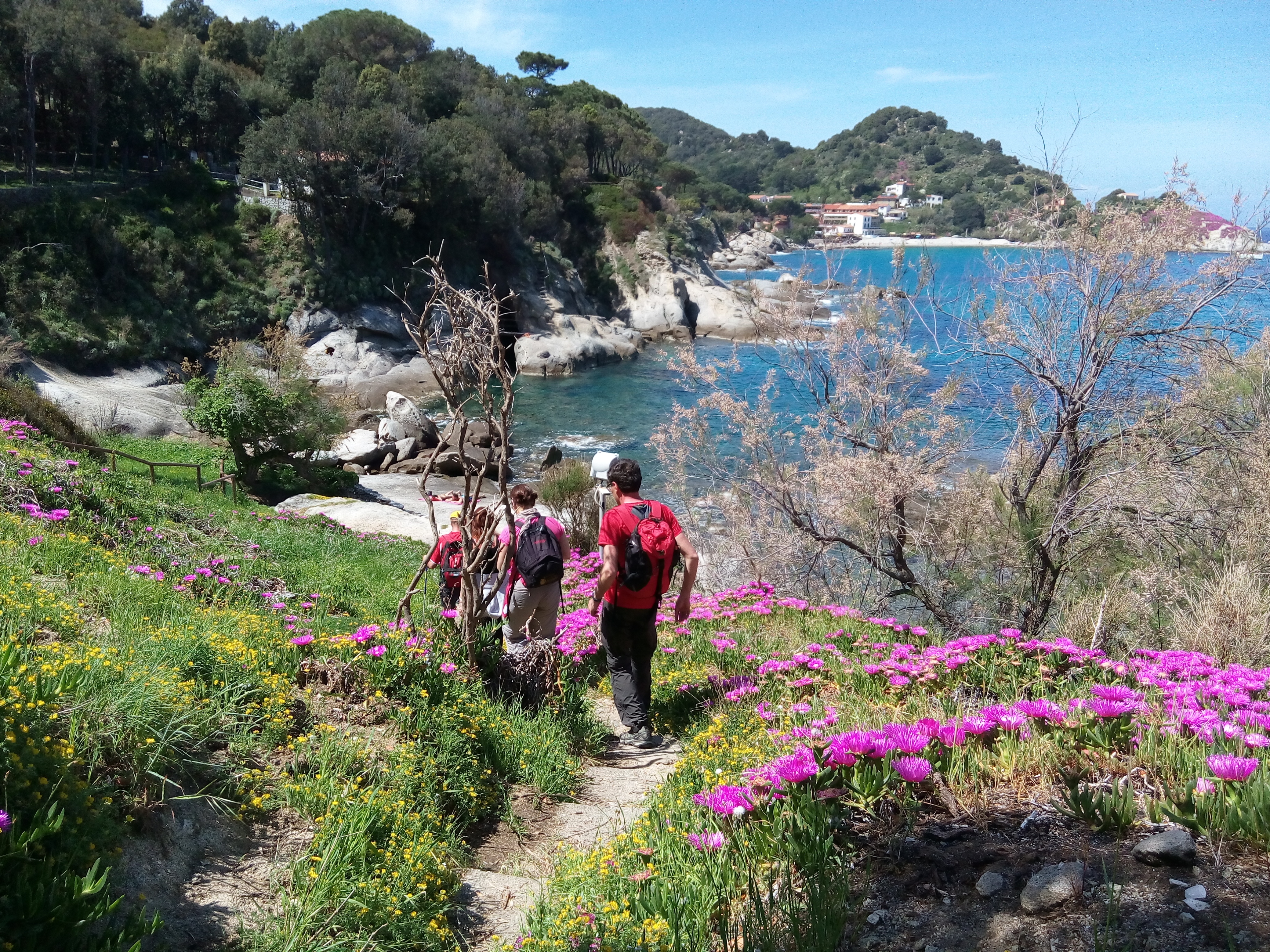 Isola d'Elba: una meraviglia fuori dal mondo!