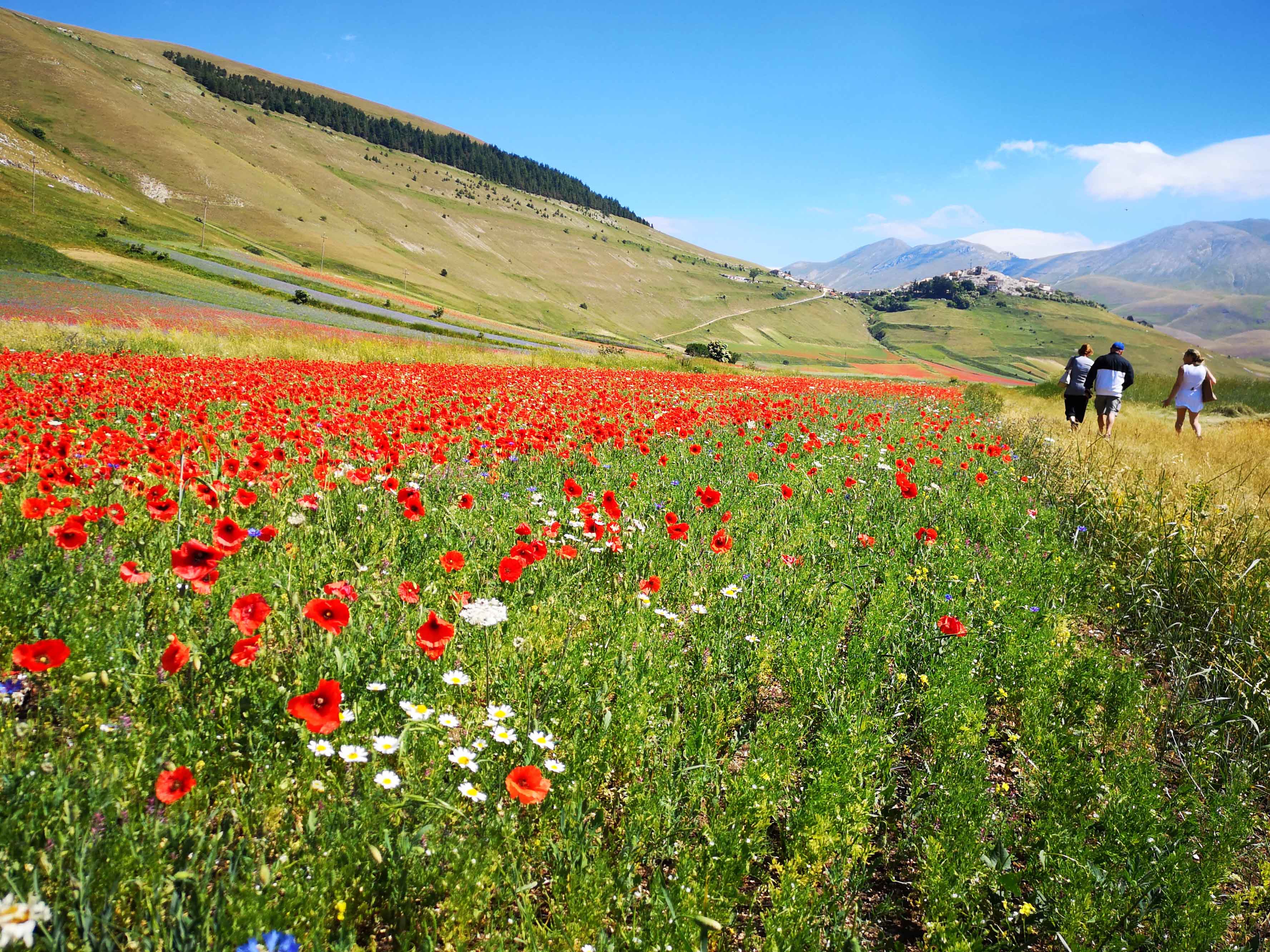 Parco Nazionale dei Monti Sibillini: trekking, fioritura, rafting e bici!