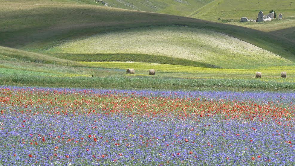 Monti Sibillini: la magia della natura....in un grande anello