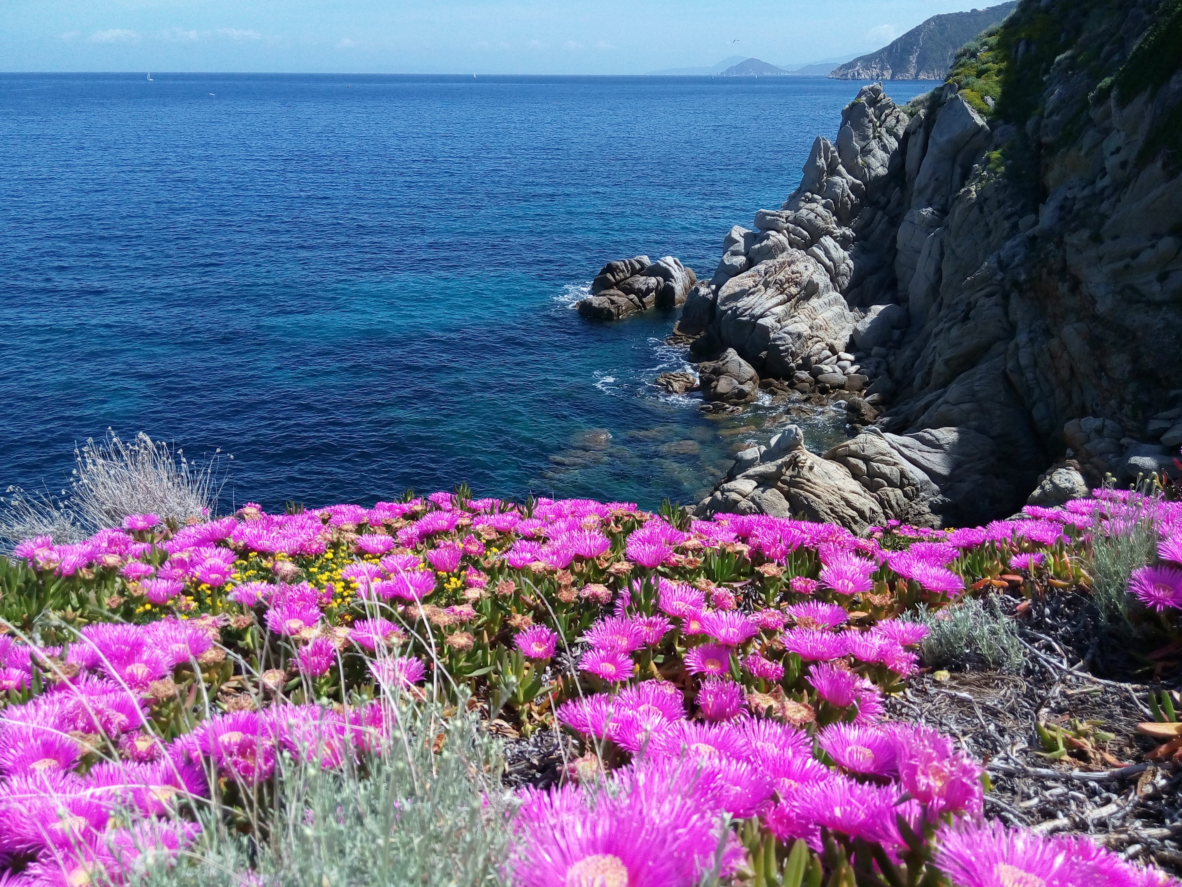 Trekking all'Isola d'Elba: la gemma del Tirreno!