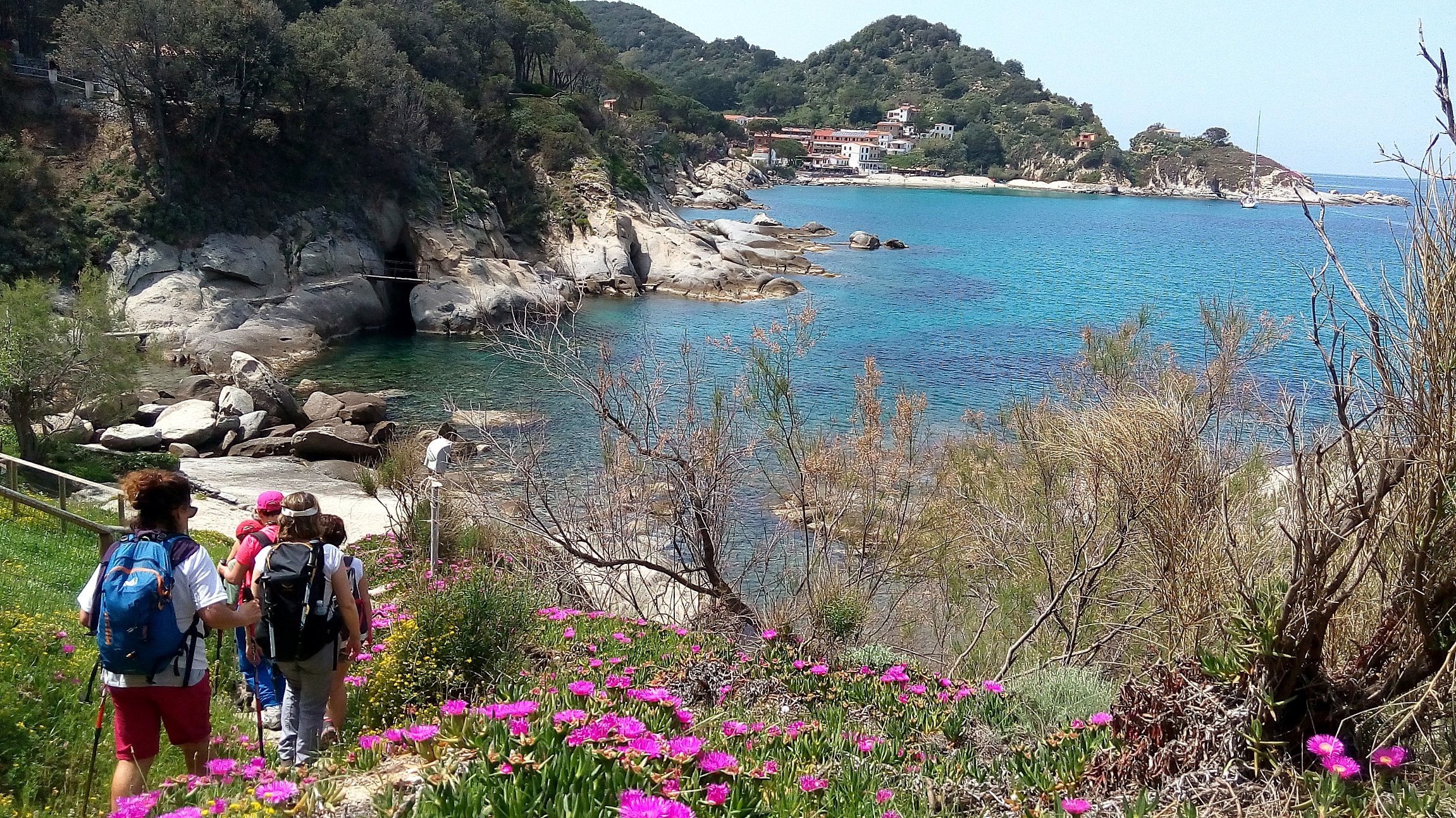 Trek grandioso all'Isola d'Elba; la gemma del Tirreno tutta in fiore!!
