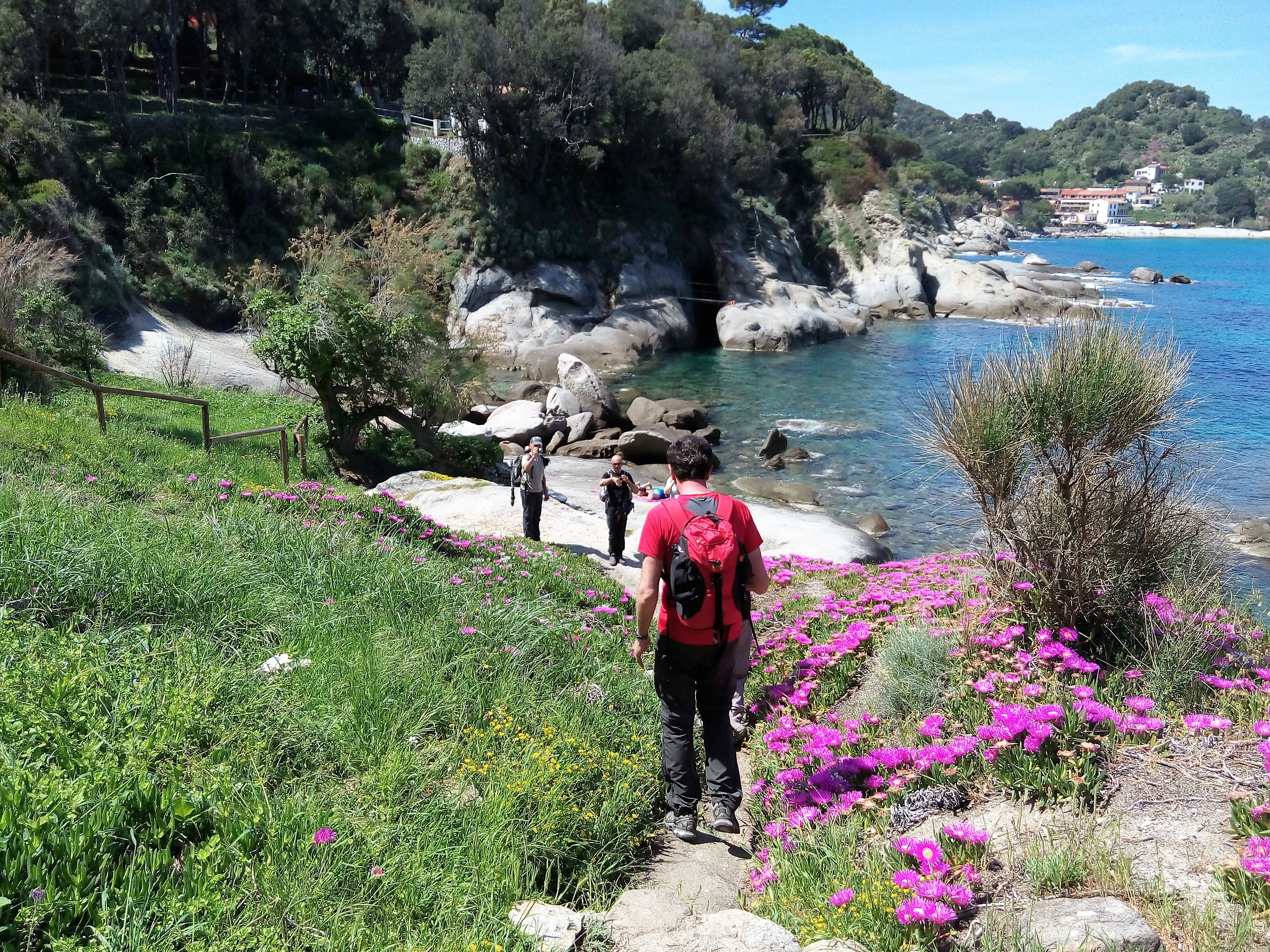 Trek grandioso all'Isola d'Elba; la perla del Tirreno