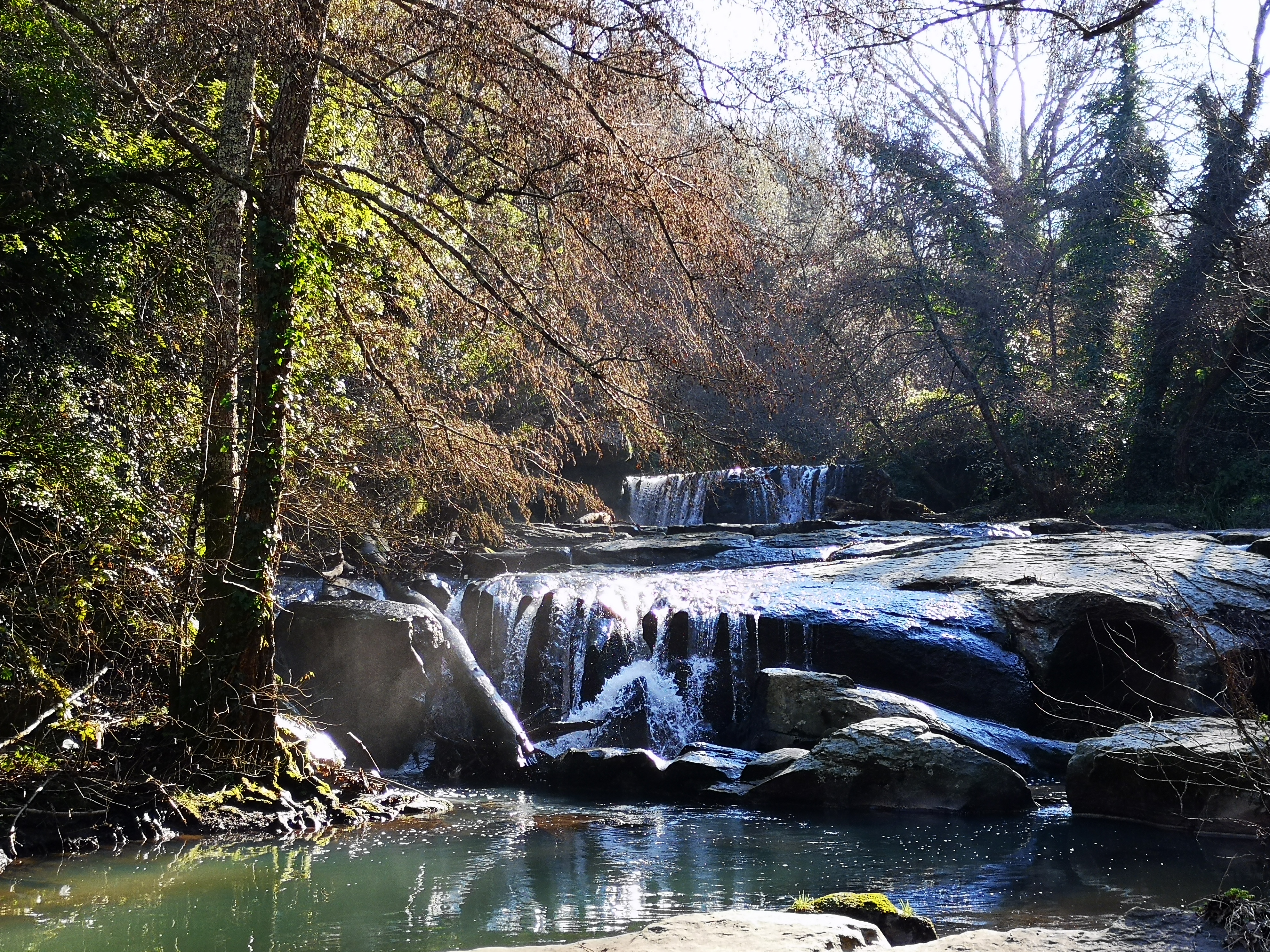 L'essenza della Tuscia tra natura selvaggia, castelli medievali e misteri archeologici!