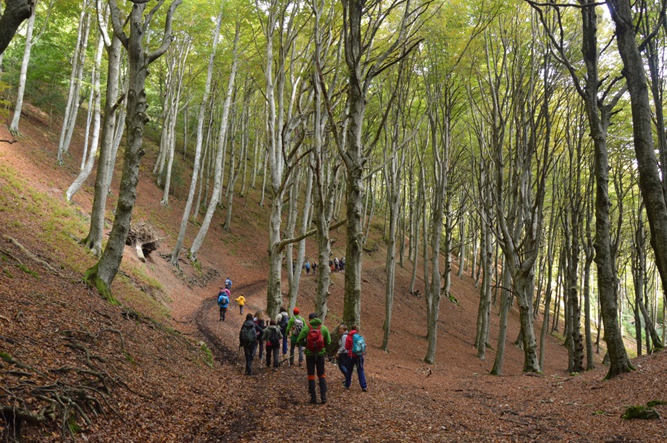 I colori autunnali del Monte Cucco: faggete fiabesche, torrenti e la spettacolare cima!