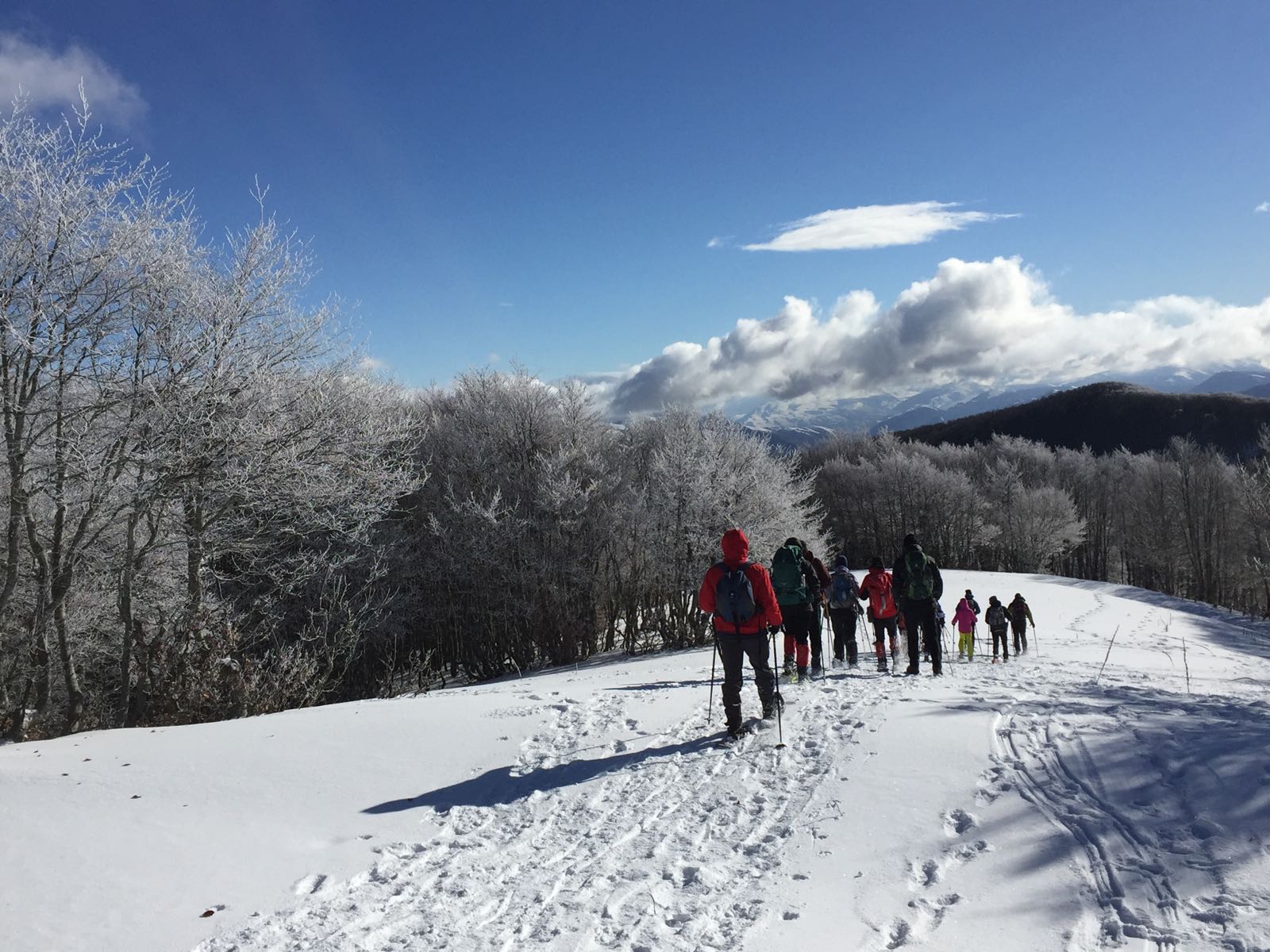 Ciaspolata a Terminillo: faggete stupende e panorami mozzafiato!