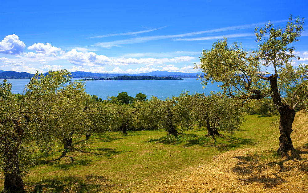 Tramonto al Lago Trasimeno: in cammino tra il verde e il blu!