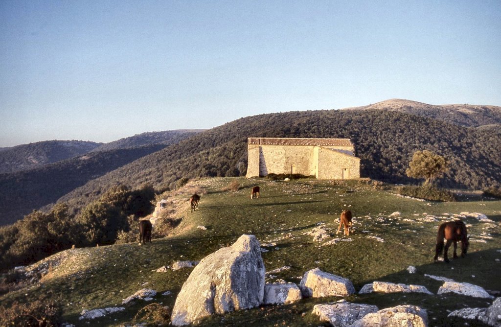 Monte Torre Maggiore: l'anello "sacro"!